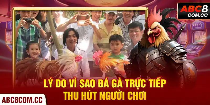 Lý Do Vì Sao Đá Gà Trực Tiếp Thu Hút Người Chơi