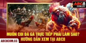 coi đá gà trực tiếp