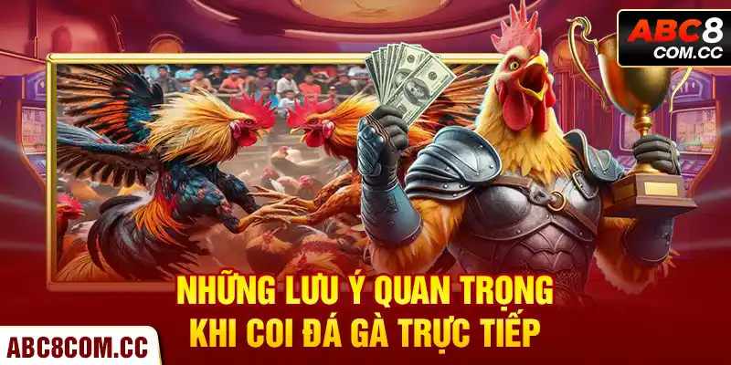 Những Lưu Ý Quan Trọng Khi Coi Đá Gà Trực Tiếp