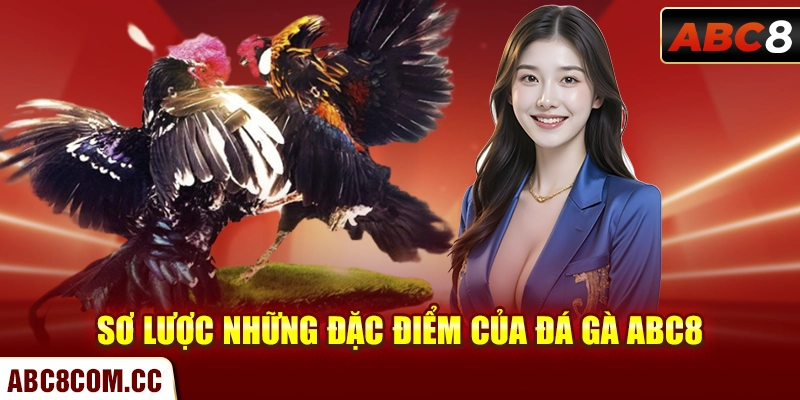 Sơ lược những đặc điểm của đá gà ABC8