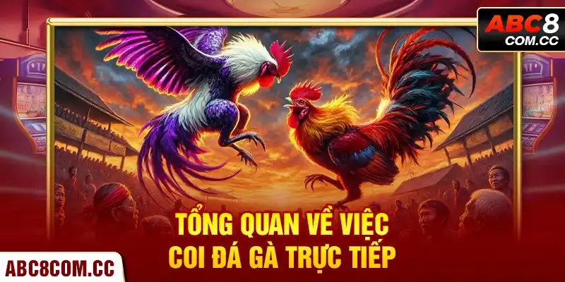 Tổng Quan Về Việc Coi Đá Gà Trực Tiếp